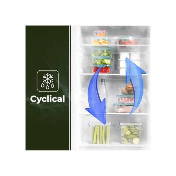 AC185501E - Free Standing Combi Fridge Freezer White 180*55 cm Aspes CYCLE